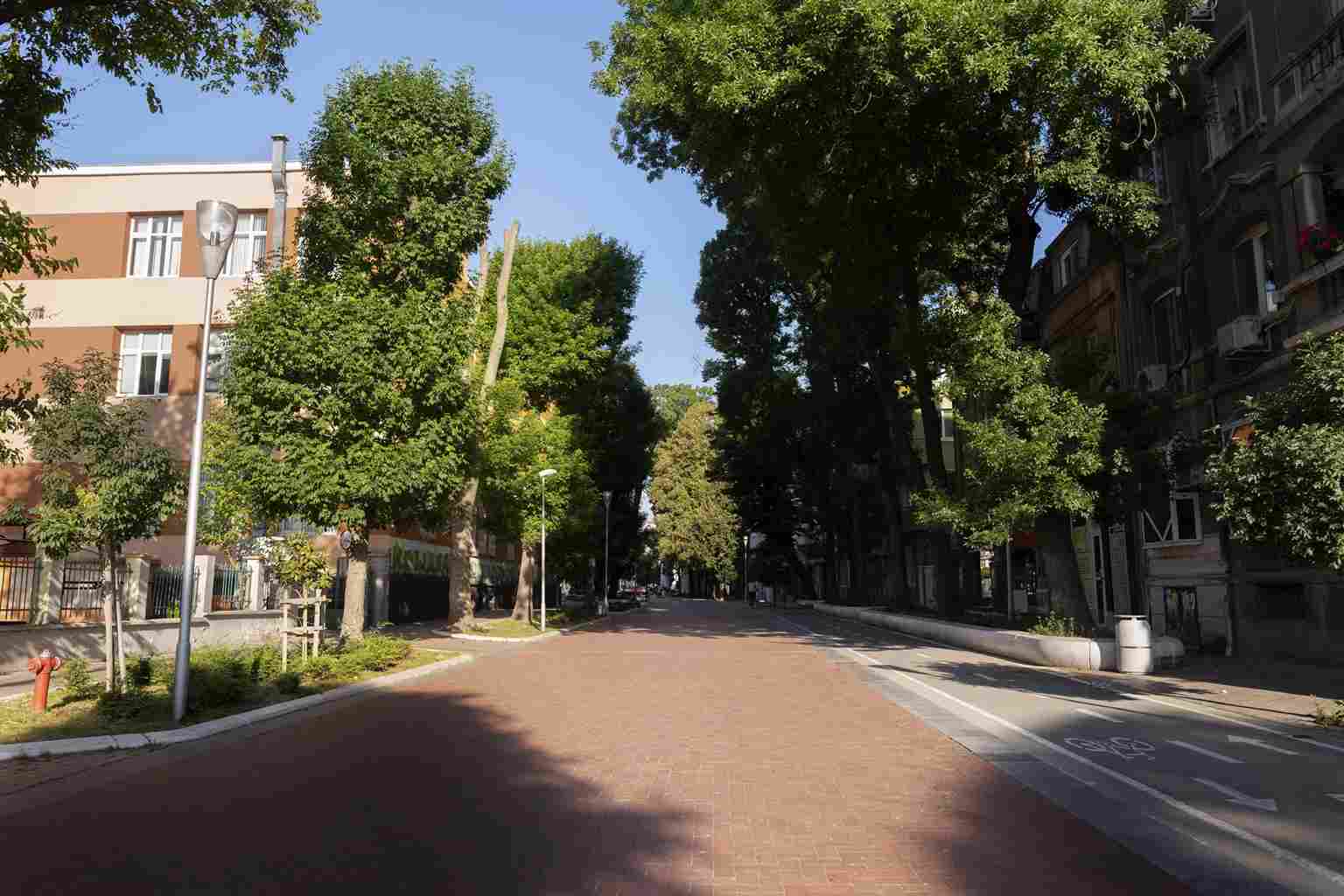 Sunny, tree-lined urban street with surrounding buildings, providing a peaceful learning environment for students of SSC and HSC open schooling courses.